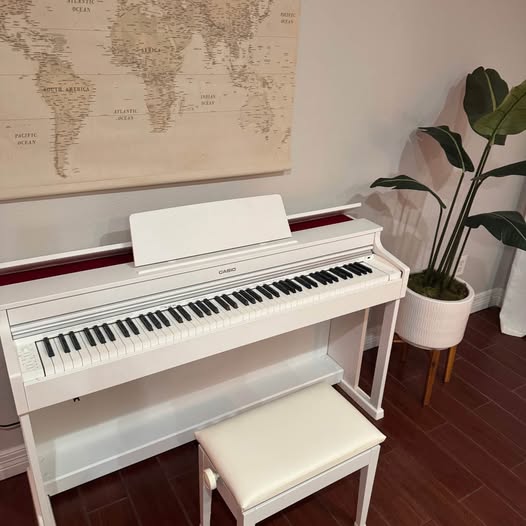 Casio AP-470 Digital Piano + Bench