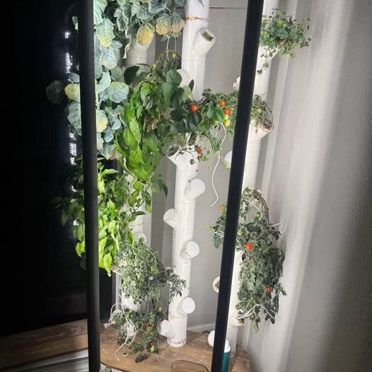 Gardyn 4.0 with Pods + Plant Food